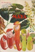 Maya