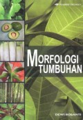 Morfologi Tumbuhan