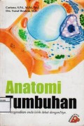 Anatomi Tumbuhan