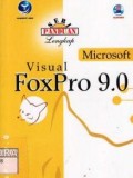 Microsoft visual foxpro 9.0