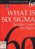 What is six sigma : berpikir cepat sigma