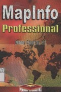 Mapinfo professional