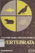 Anatomi dari 4 species hewan vertebrata