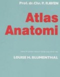 Atlas anatomi